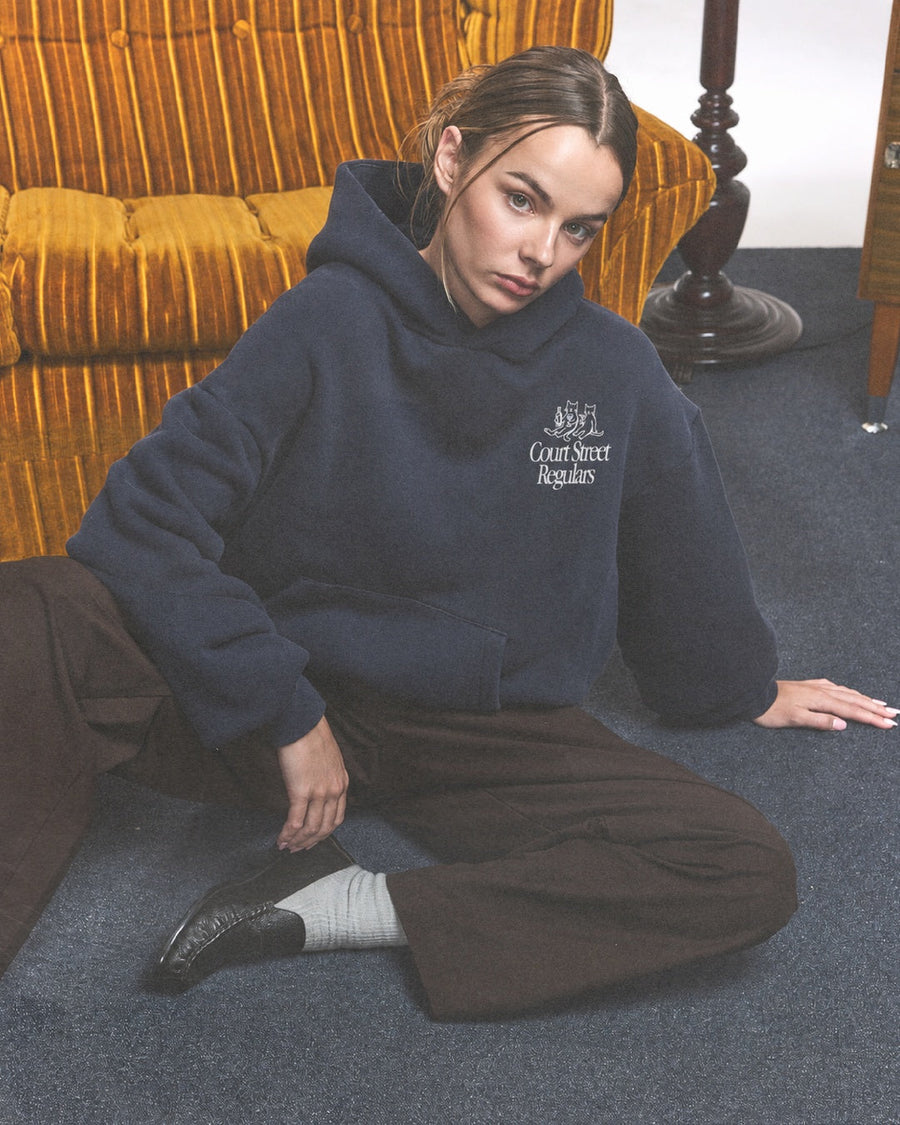 Court Street Regulars Faded Blue Hoodie — model floor shot